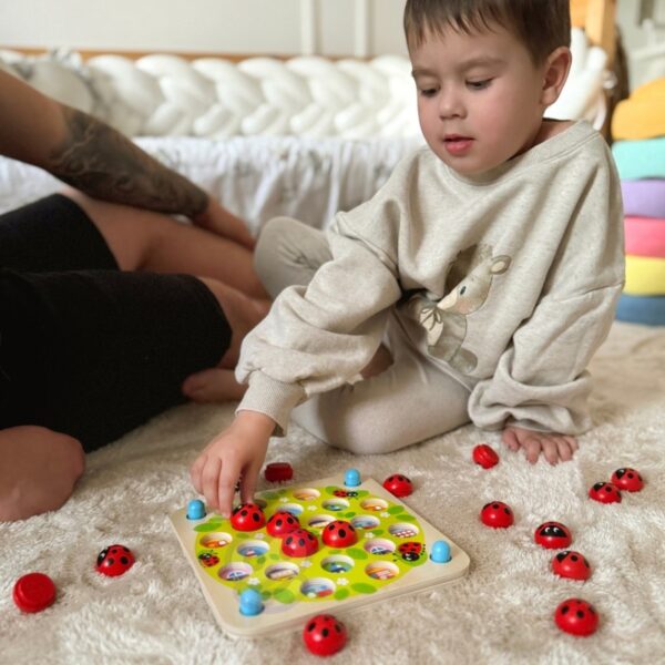 Medinės lavinamosios atminties dėlionės ladybugs