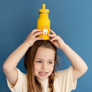 Nerūsējošā tērauda pudele 350 ml - Mr Lion