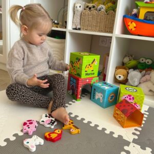 Farm in Boxes Cube Puzzle - Image 9